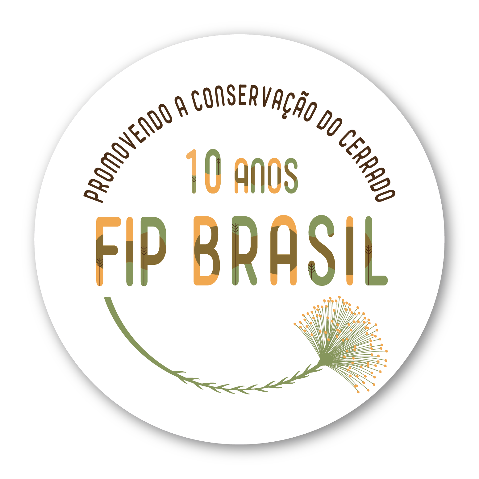 Programa de Investimento Florestal no Brasil