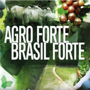 O Senar foi convidado a apresentar os sistemas de gestão físico e financeiro do ABC Cerrado para a equipe do Projeto Fip Coordenação, do Ministério do Meio Ambiente. Acompanhe!