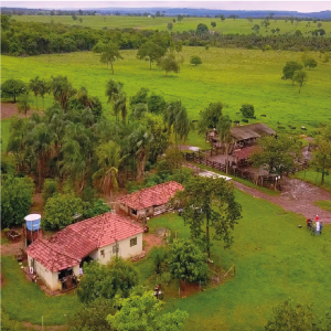ABC Cerrado Goiás