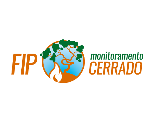 FIP Monitoramento